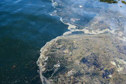 Oilspill