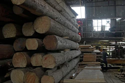 A worker cuts the wood in the Chi Kee Sawmill & Timber in Hong Kong, Tuesday, July 12, 2022.