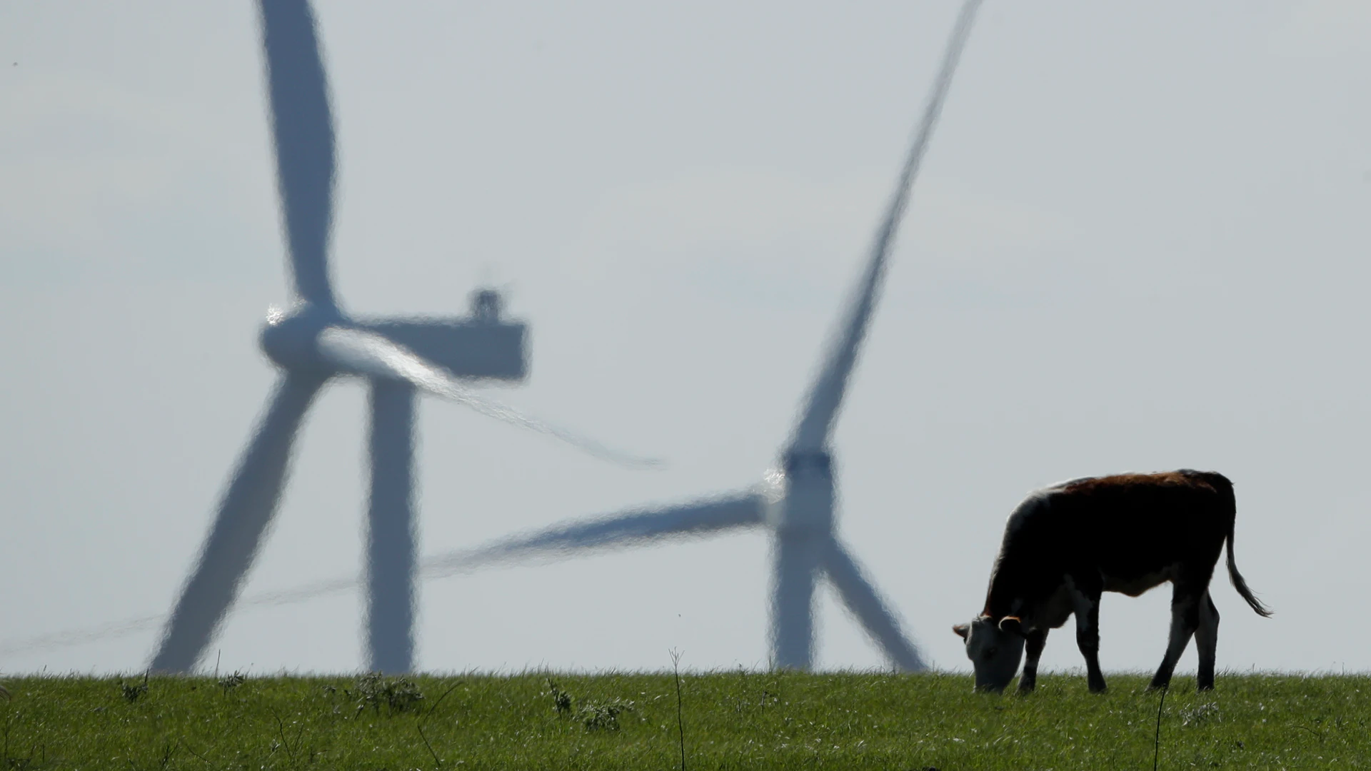 How the Climate Deal Would Help Farmers Aid the Environment - Vimarsana News