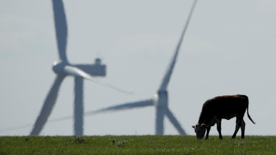 A cow grazes in a pasture near Reading, Kan., with wind turbines in the distance, April 27, 2020.