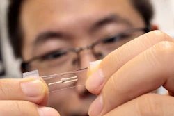 The wearable neuromorphic chip, made of stretchy semiconductors, can implement artificial intelligence (AI) to process massive amounts of health information in real time. Above, Asst. Prof. Sihong Wang shows a single neuromorphic device with three electrodes.