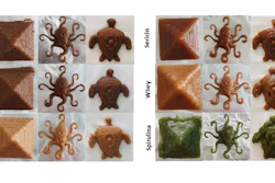Optimized ink printing of pyramid, octopus and turtle from left to right of different protein inks.