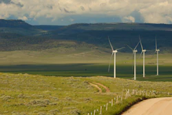 Scientists say the species is teetering on the edge of decline and worry that proliferating wind turbines could push them over the brink.