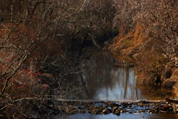 Water flows in Coldwater Creek on Thursday, Dec. 9, 2021, behind a row of homes at Belcroft Drive and Old Halls Ferry Road in Missouri's St. Louis County.