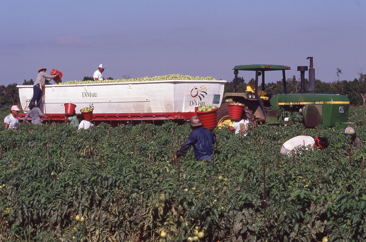 3 Sentenced in Farm Worker Racketeering Conspriacy | Manufacturing ...