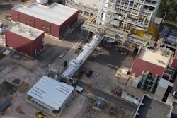 Tes Santa Barbara Plant