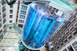 The AquaDom aquarium at the Sea Life tourist attraction photographed in Berlin, Wednesday, June 1, 2022. The aquarium is bursts on Friday, Dec. 16, 2022. Operators say the aquarium has the biggest cylindrical tank in the world. It contained 1,500 tropical fish before the incident.