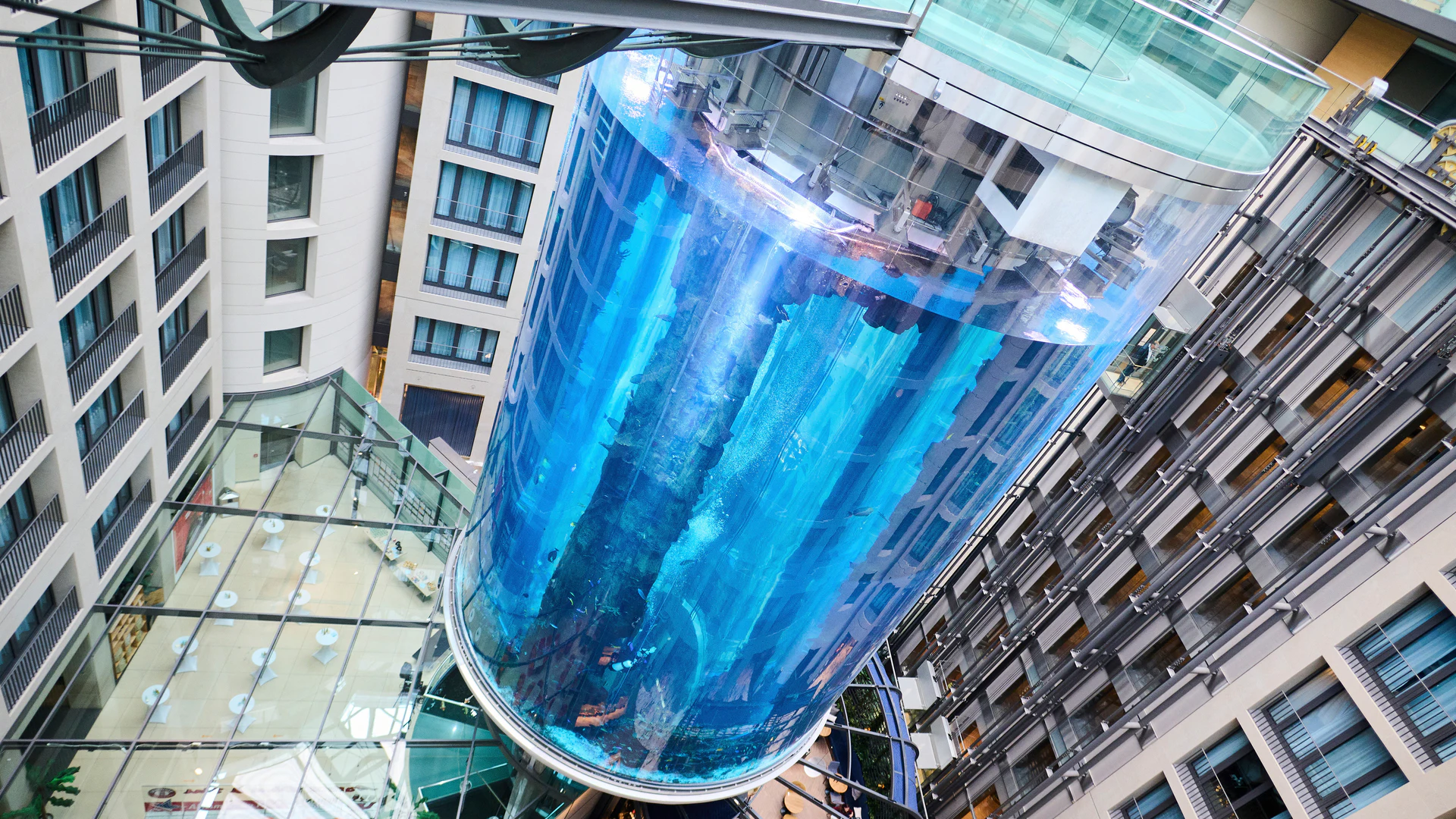 U.S. Company to Send Team to Look Into Berlin Aquarium Rupture - Vimarsana News