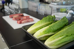 Low Res Lab Foods jpg