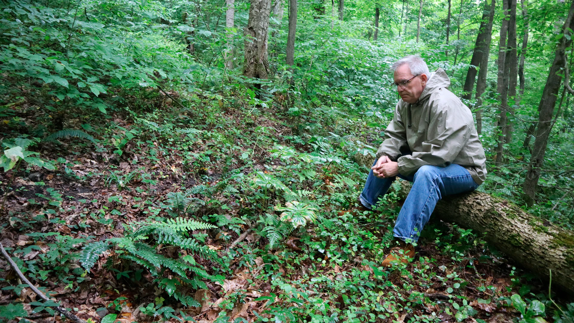 Unmarked Graves, an 'Ugly History': W.Va. Weighs Mine Safety - Vimarsana News