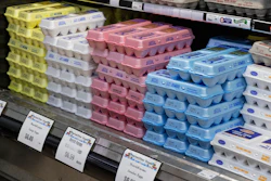 Cartons of eggs on display at HarvesTime Foods, Chicago, Jan. 5, 2023.