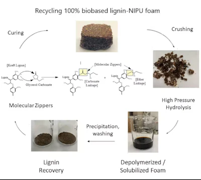 How the chemicals in bio-based foams can be recycled and reused.