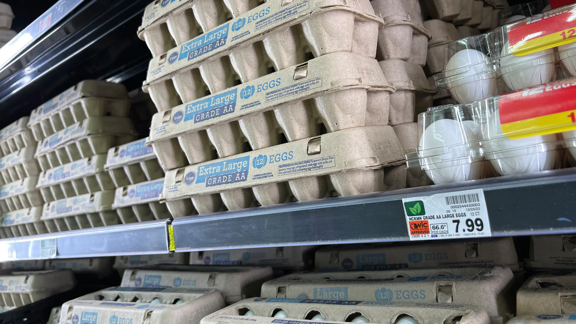 Egg Shortage Breeds Chicken-Feed Conspiracies - Vimarsana News