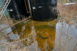 A small alligator swims in the collected water around the dilapidated infrastructure of the B-5 orphan well site in the Atchafalaya National Wildlife Refuge in Lottie, La., Thursday, Feb. 16, 2023.