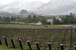 A vineyard in Agua Dulce, Calif., Feb. 24, 2023.