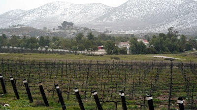 A vineyard in Agua Dulce, Calif., Feb. 24, 2023.