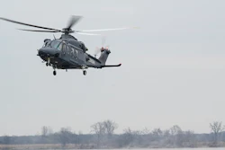 Greywolf