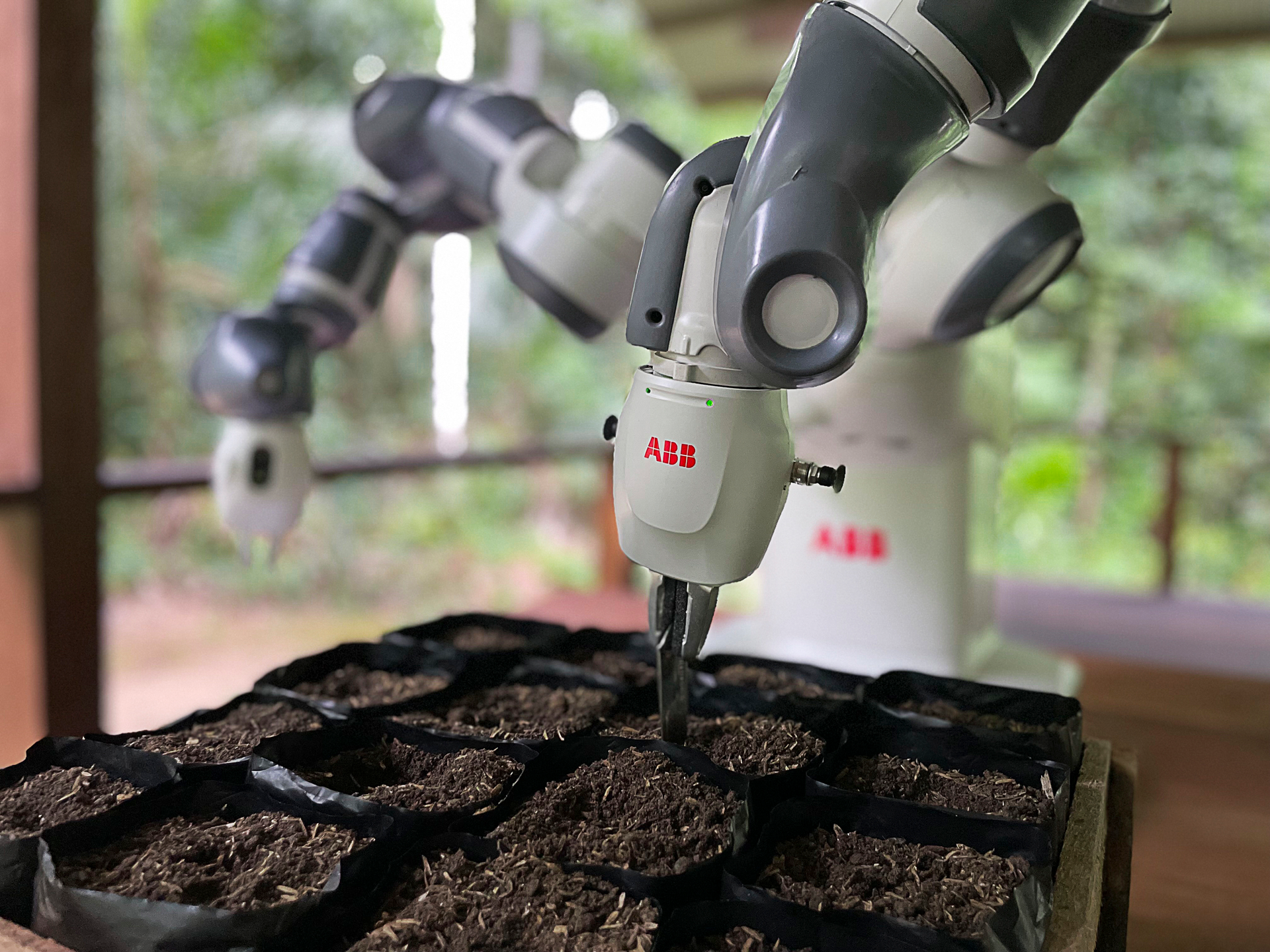 Abb Robotics Amazon Reforestation Pilot Yu Mi Plants 640 Seed Bags Per Morning During The Pilot Program (1)