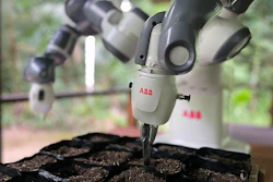 Abb Robotics Amazon Reforestation Pilot Yu Mi Plants 640 Seed Bags Per Morning During The Pilot Program (1)