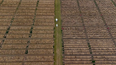 Cars are parked at grain breeding fields near Wernigerode, Germany, July 25, 2023.