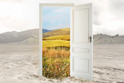 New Doors I Stock 844551344