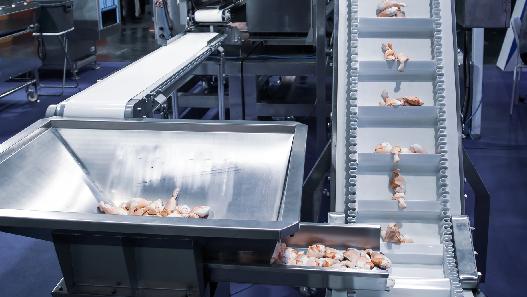 Teen's Death in Poultry Plant Shows Continued Child Labor Problem, Feds Say - Vimarsana News