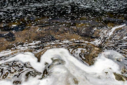 PFAS foam gathers at the the Van Etten Creek dam in Oscoda Township, Mich., near Wurtsmith Air Force Base on June 7, 2018.