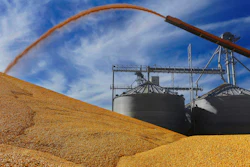 Farmers deposit corn outside a grain elevator in Virginia, Ill.