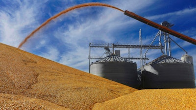 Farmers deposit corn outside a grain elevator in Virginia, Ill.