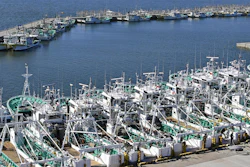 Fishing boats line up at a port in Soma, Fukushima prefecture, Japan Tuesday, Aug. 22, 2023.