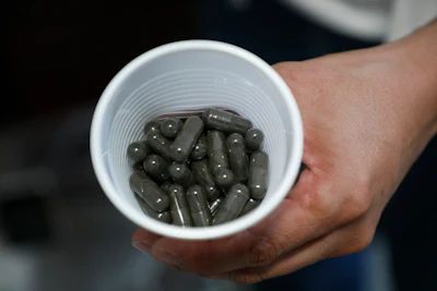 Edgard Boquín, a project leader working with Doctors Without Borders, holds a cup of gelatin caps filled with dried mosquito eggs, in Tegucigalpa, Honduras, Tuesday, Aug. 22, 2023. The eggs come from the World Mosquito Program's bio factory in Colombia, where they are bred to carry bacteria that interrupt the transmission of dengue.