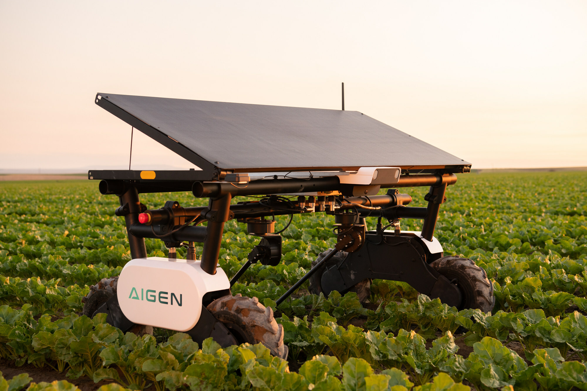Aigen Element