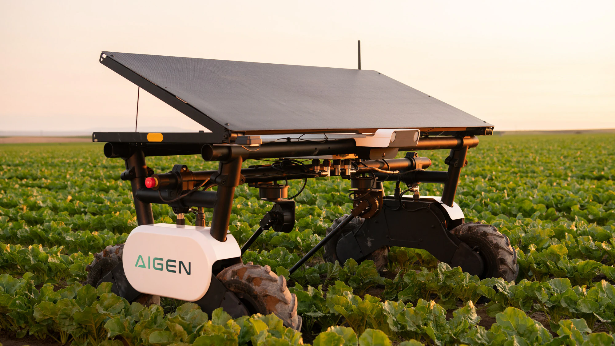 Aigen Raises $12M for Solar-Powered Agriculture Robots - Vimarsana News