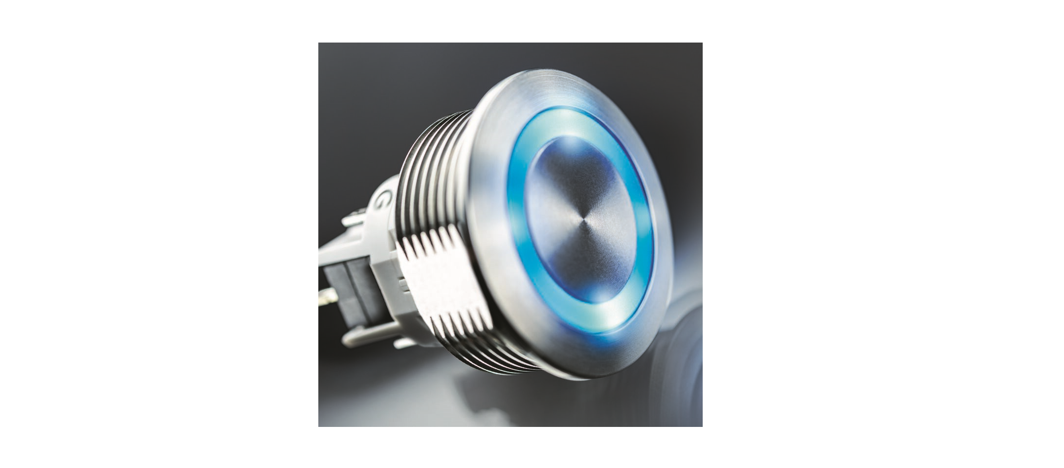 Schurter new MSM II momentary pushbutton switch.
