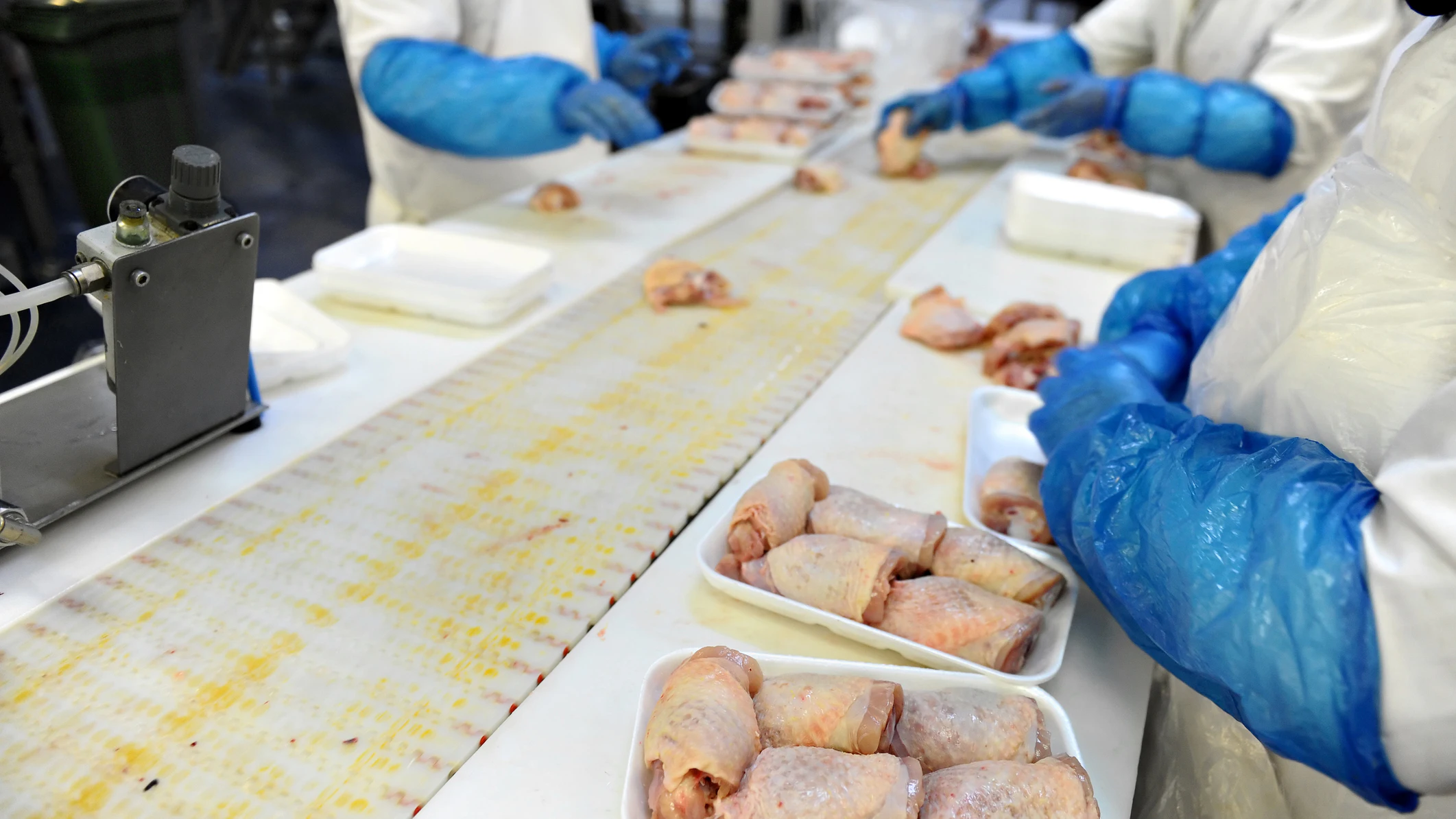 OSHA Fines Ohio Meat Processor Following Worker's Injury - Vimarsana News