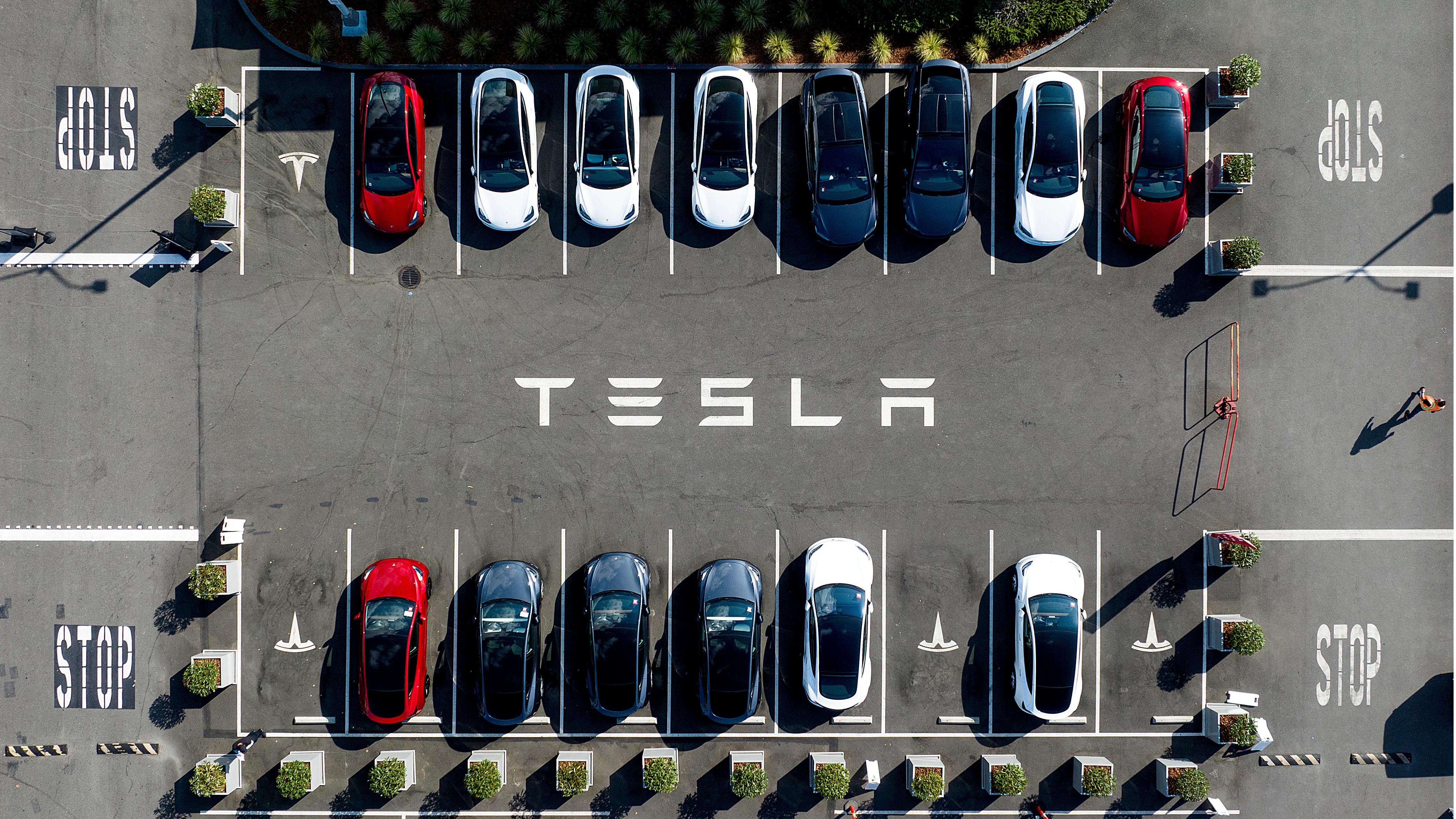 Tesla Sues Swedish Agency as Striking Workers Stop Delivering License Plates - Vimarsana News