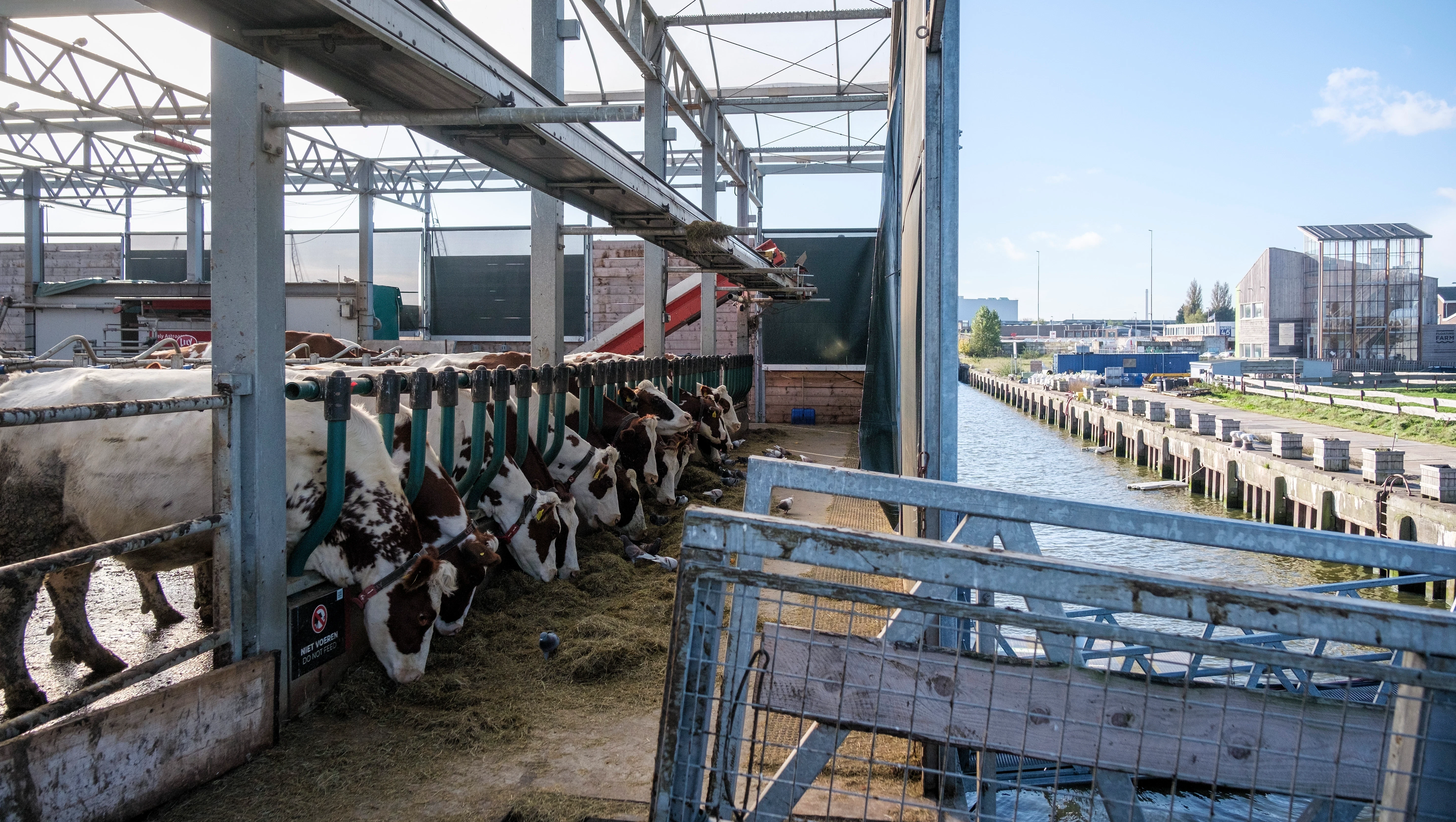 Floating Farms Could Help Tackle Food Security, Climate Change - Vimarsana News