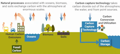 Balancing the environmental carbon budget is complex, and active carbon management is necessary to stabilize the climate.
