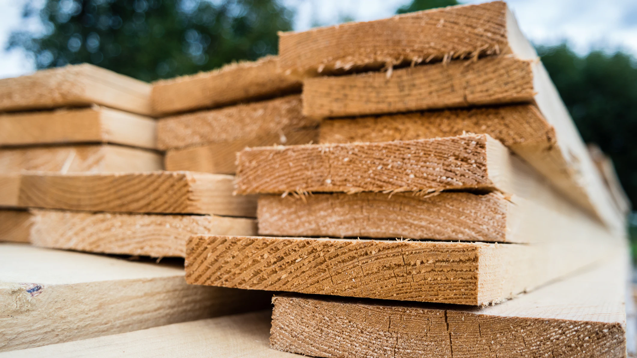 Wisconsin Sawmill Continues to Expose Employees to Amputation Hazards, OSHA Says - Vimarsana News
