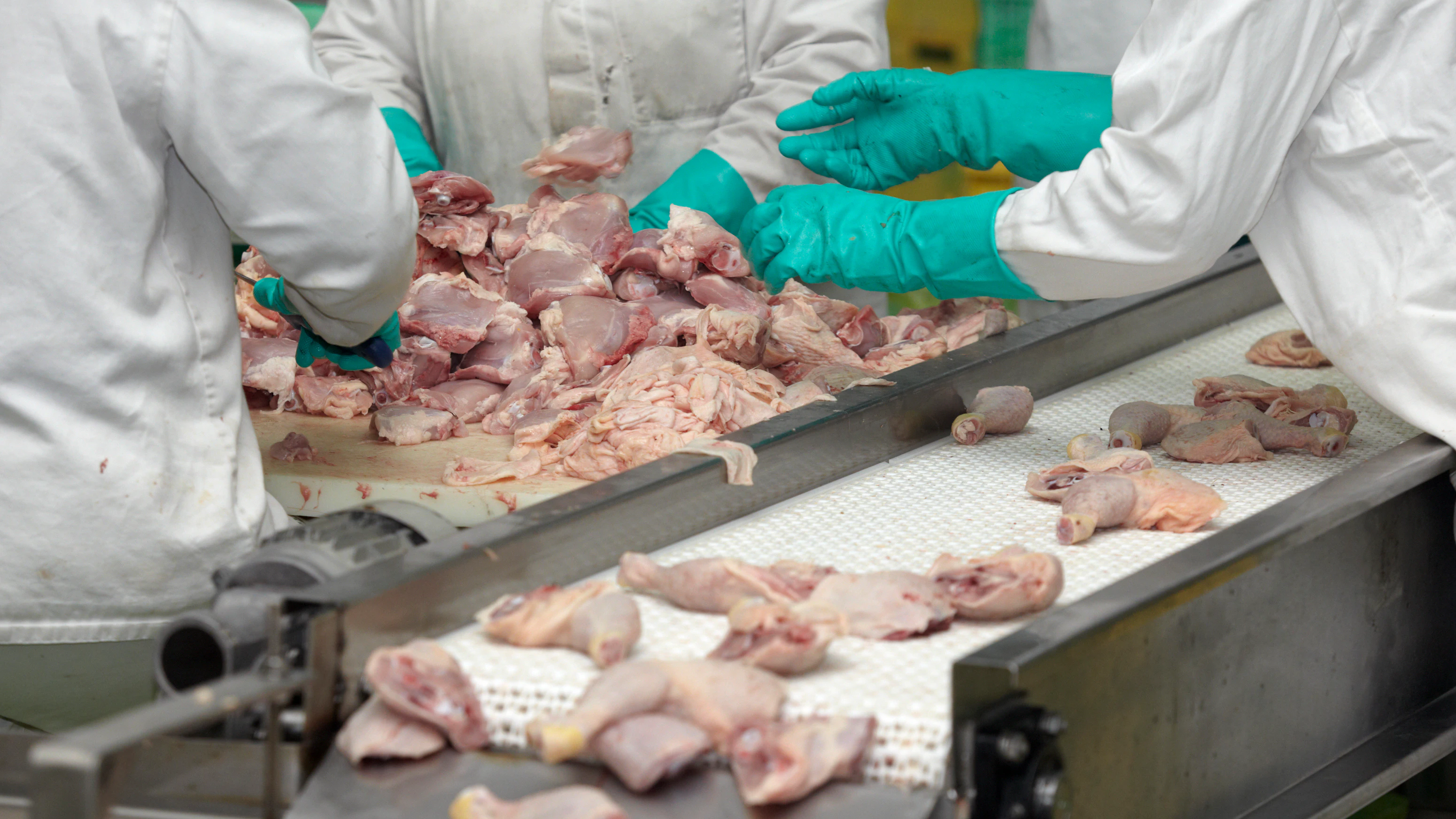 Ohio Poultry Processor Again Cited by Federal Regulators - Vimarsana News