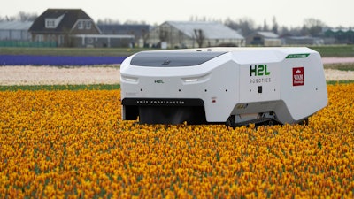 Theo the robot works weekdays, weekends and nights and never complains about a sore spine despite performing hour upon hour of what for a regular farmworker would be backbreaking work checking Dutch tulip fields for sick flowers in Noordwijkerhout, Netherlands, Tuesday, March 19, 2024.