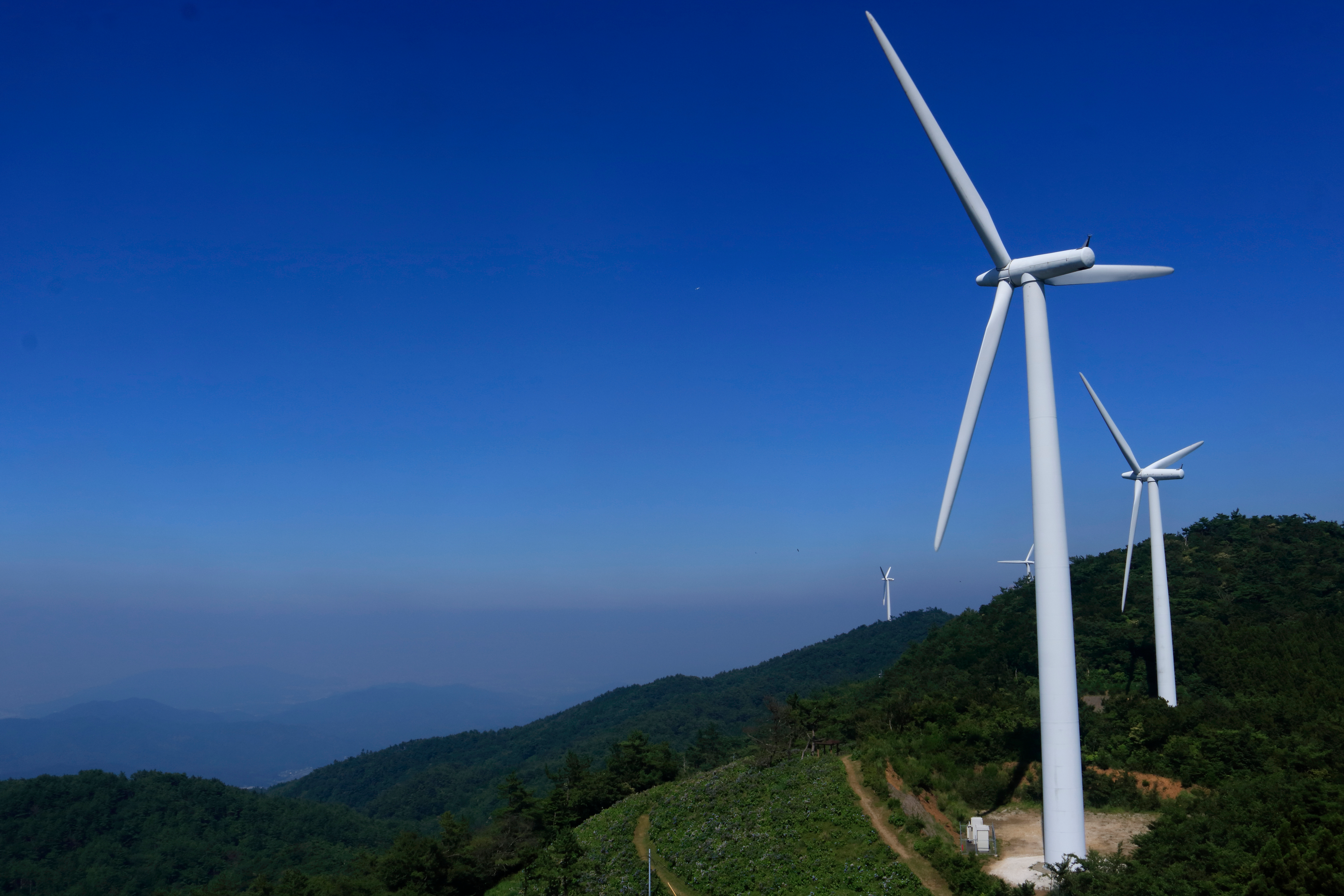 Tribes Want U.S Appeals Court to Weigh In on $10B SunZia Energy Transmission Project - Vimarsana News