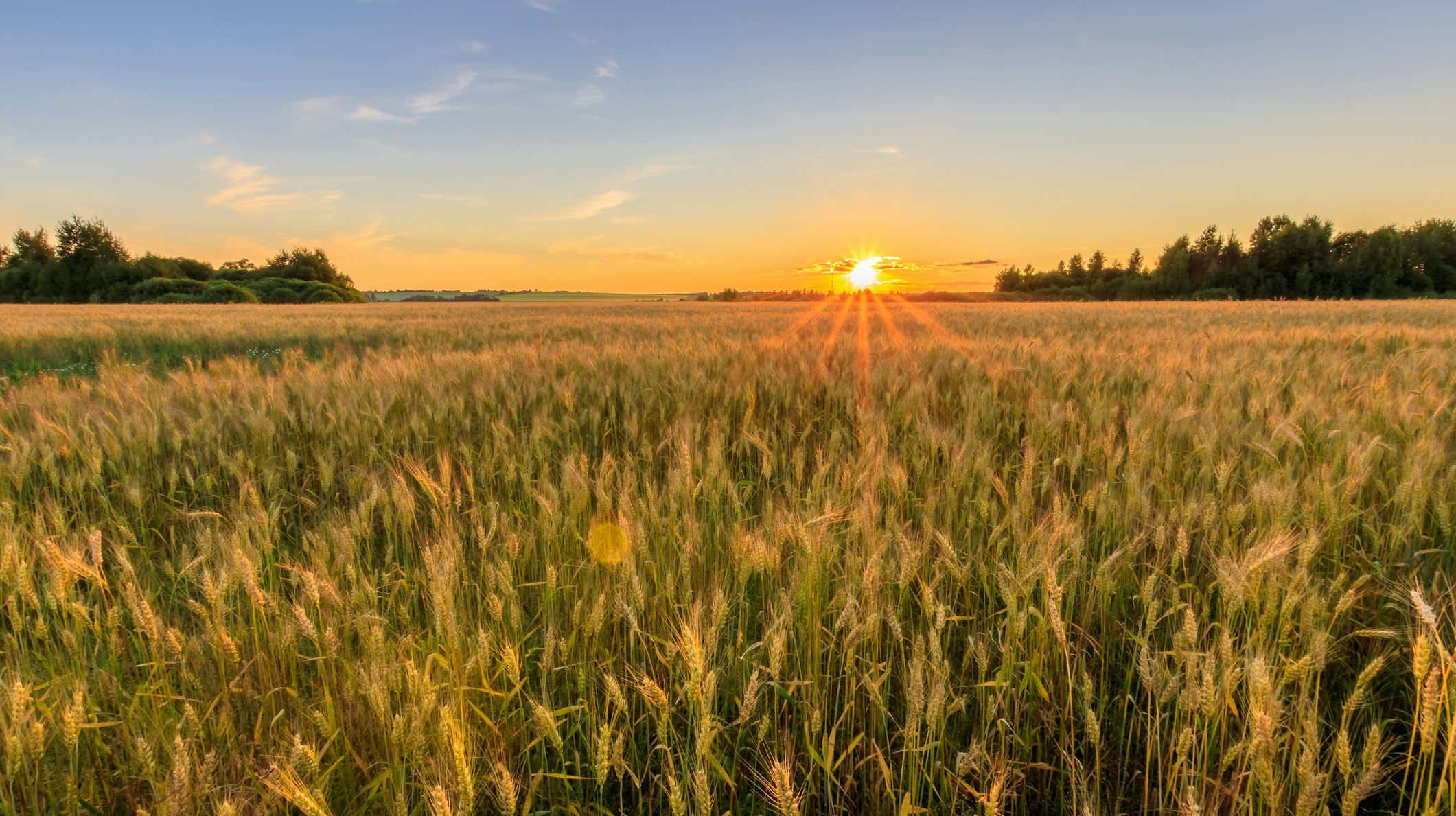 Agriculture Companies Looking Beyond Legacy Systems