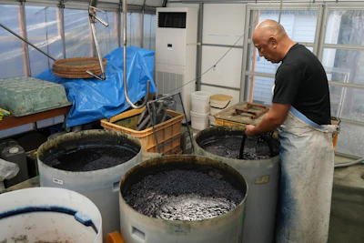 Yoshiharu Okamoto, a dyer at Momotaro Jeans, demonstrates dyeing yarn in indigo for making denim in Kojima, Okayama prefecture, western Japan, on Sept. 4, 2024.