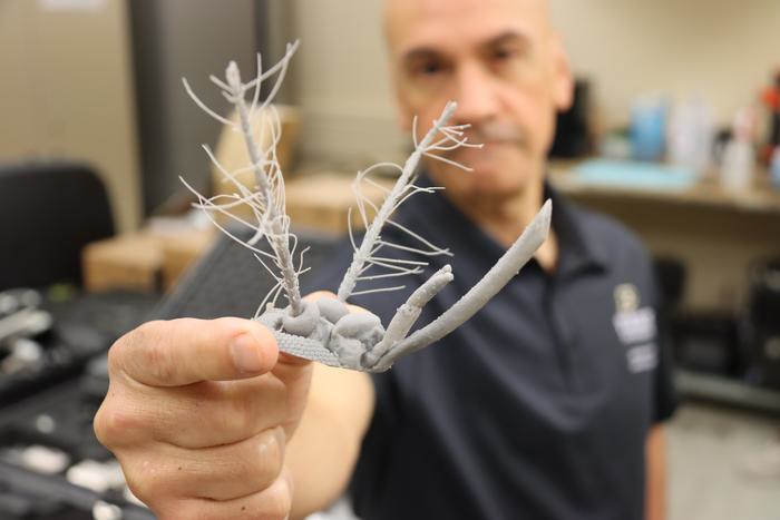 Purdue professor Pablo Zavattieri holds a 3D-printed mosquito head.