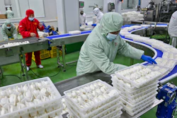 Workers pack dumplings at a production line at a food factory in Suqian city in east China's Jiangsu province on Jan. 21, 2025.