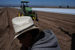 Farm workers plow the land for a strawberry field in Oxnard, Calif., on Wednesday, June 18, 2025.
