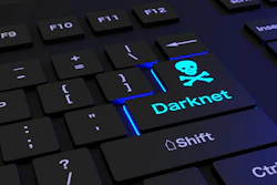 Darknet Bee Bright