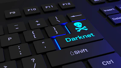 Darknet Bee Bright