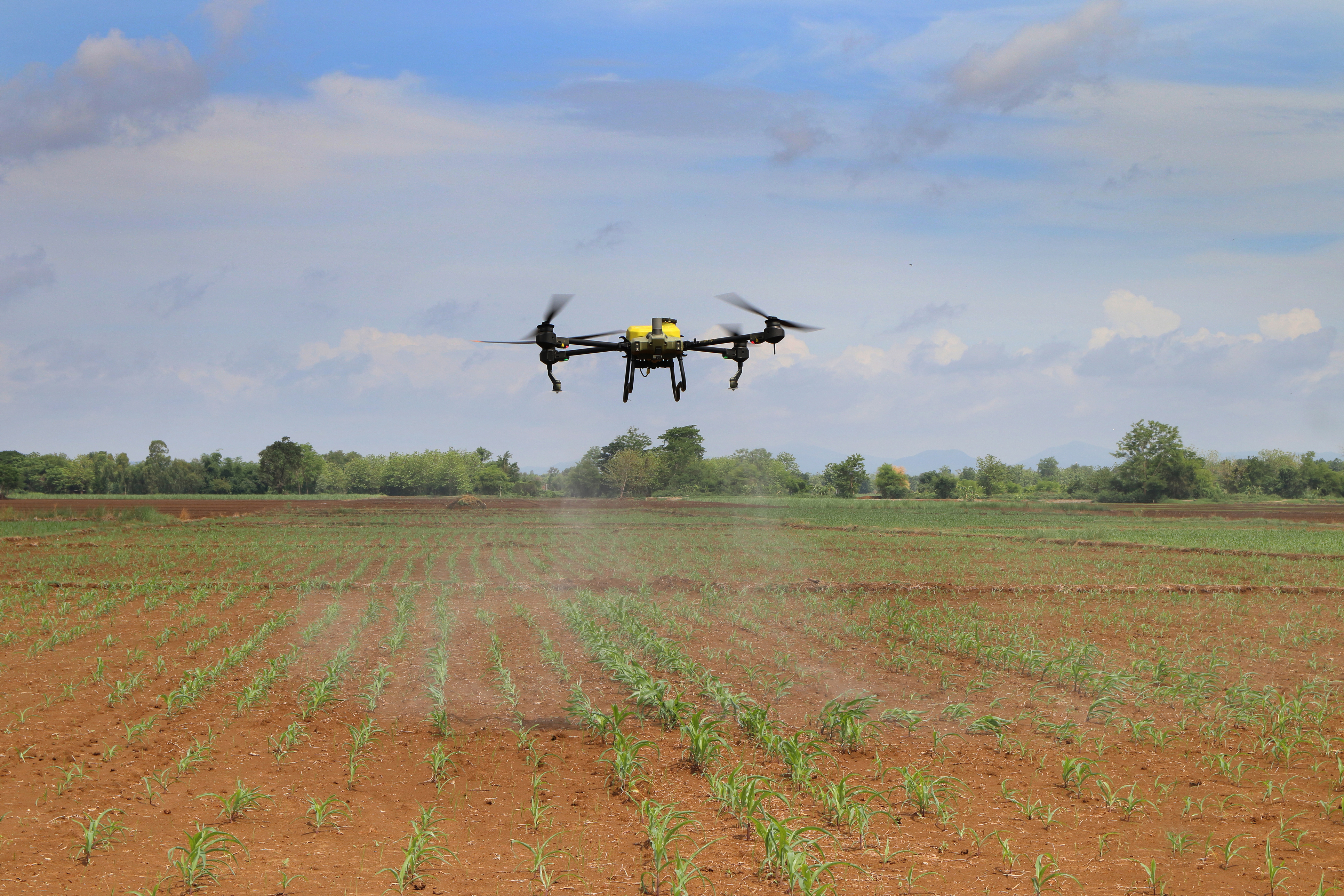 I Stock 1496553366